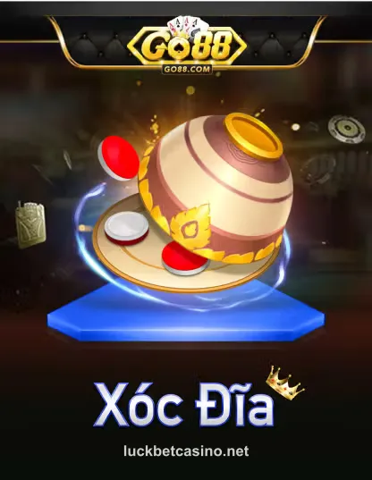 Gỗ Xóc Đĩa Portrait